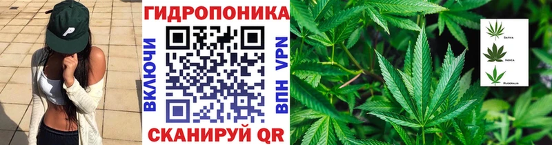 сколько стоит  Клинцы  Канабис AK-47 